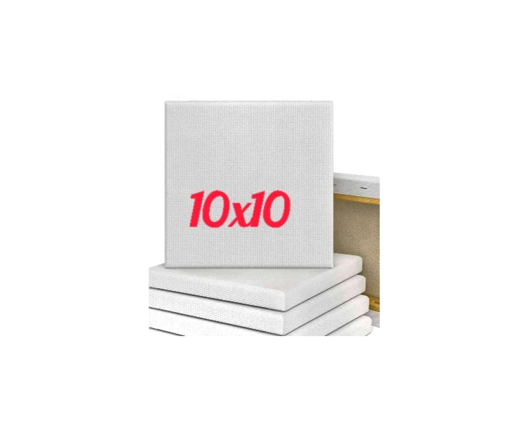 Art Canvas 10x10 Inc