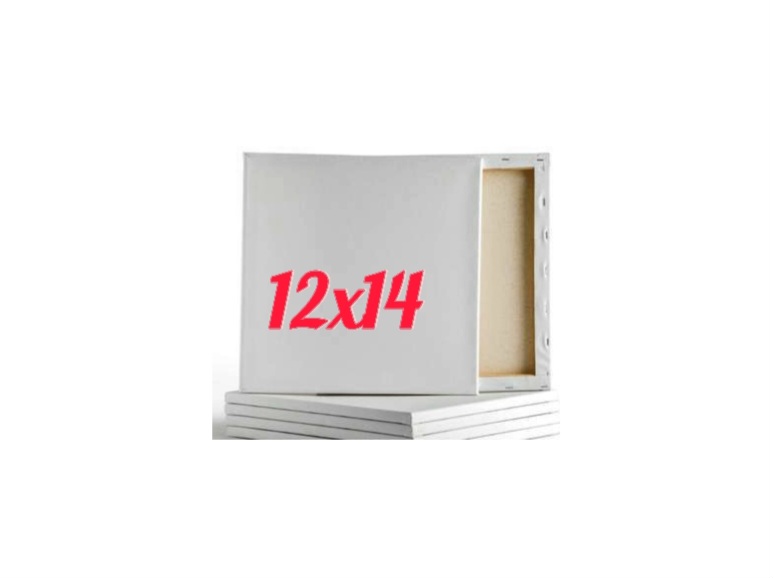 Art Canvas 12x14 Inc