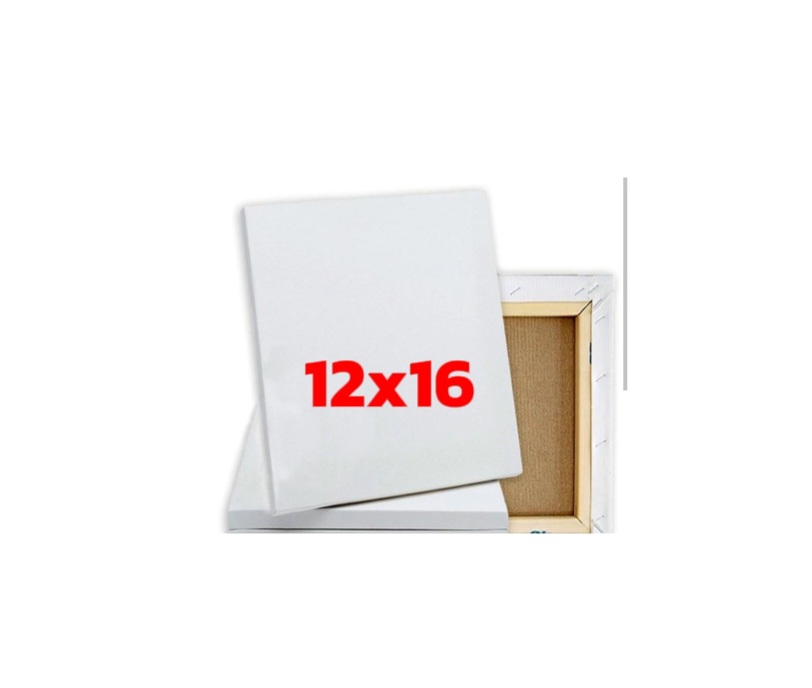 Art Canvas 12x16 Inc