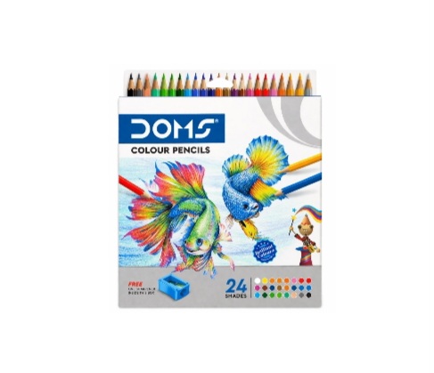 Doms Colour Pencil 24 Colour